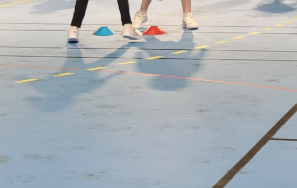 stage poussin 10/2025